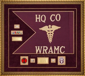 Example of a Medical guidon for a Headquarters Company