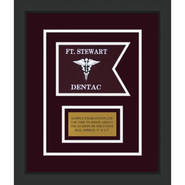 Dental Corps 7” x 5” Guidon Design75-D1-M2 framed