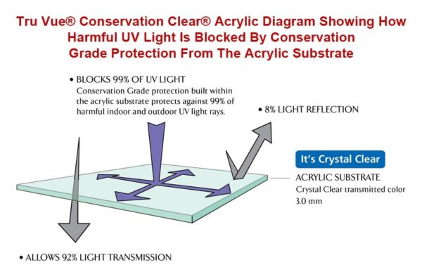 Tru Vue Conservation Clear Acrylic Uv Blocking Diagram Framed Guidons