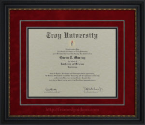 Framed Troy University Diploma