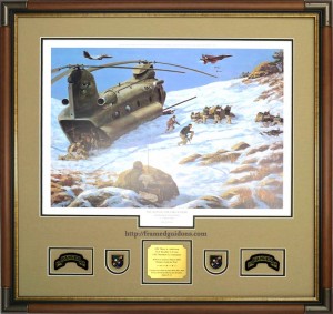 Battle For Takur Ghar Framed Military Print